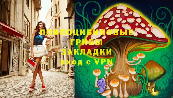 бутират Гусь-Хрустальный