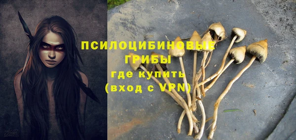 бутират Гусь-Хрустальный