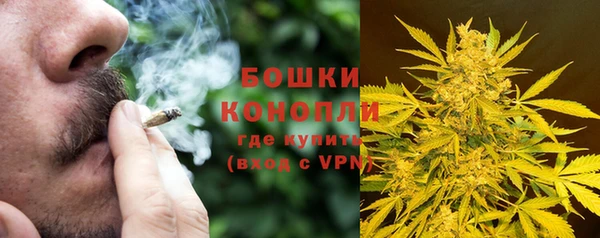 каннабис Гусев