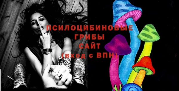 бутират Гусь-Хрустальный