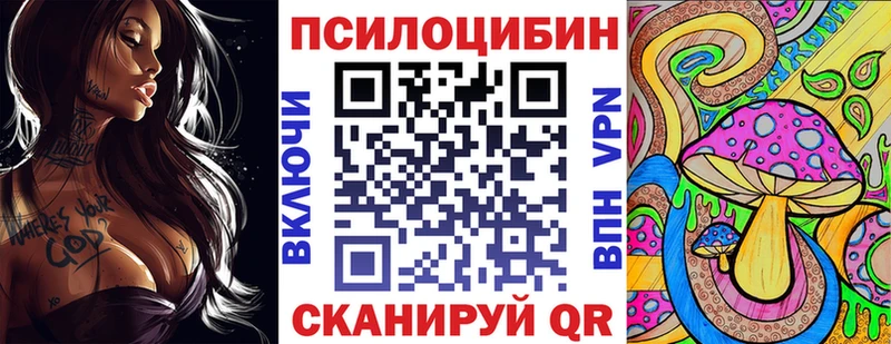Купить закладки  Кимовск  Псилоцибиновые грибы прущие грибы 