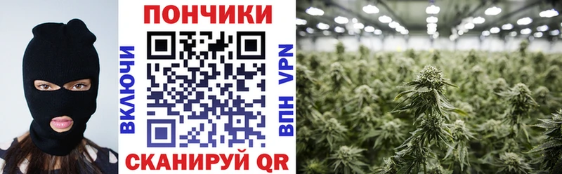 Каннабис OG Kush  Купить закладки  Кимовск 